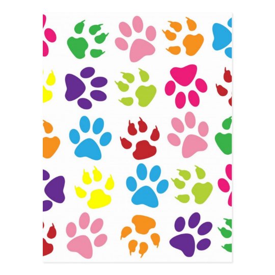RAINBOW PAW PRINTS POSTCARD