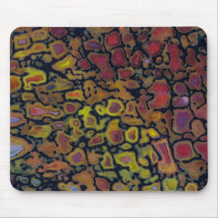 Rainbow Petrified Dinosaur Bone Mouse Pad