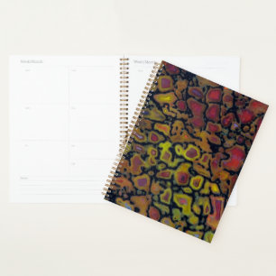 Rainbow Petrified Dinosaur Bone Planner
