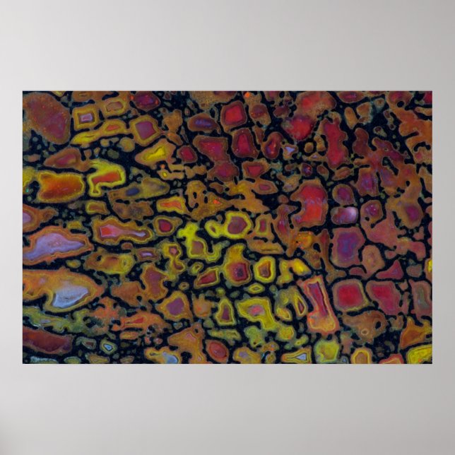 Rainbow Petrified Dinosaur Bone Poster (Front)