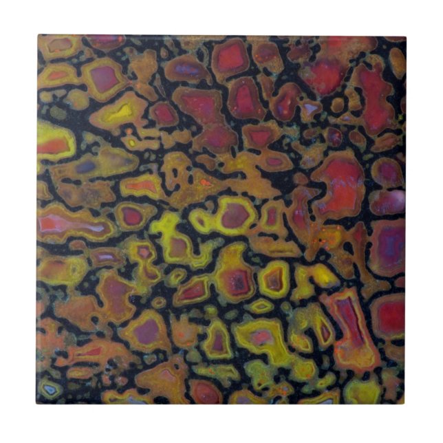 Rainbow Petrified Dinosaur Bone Tile (Front)