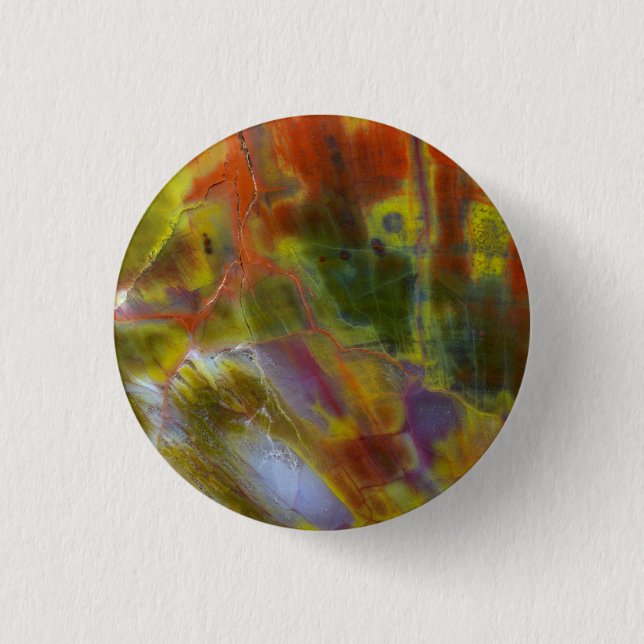 Rainbow Petrified Wood 1 Inch Round Button (Front)