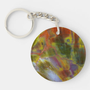 Rainbow Petrified Wood Keychain