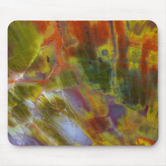 Rainbow Petrified Wood Mouse Pad (Front)