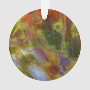 Rainbow Petrified Wood Ornament