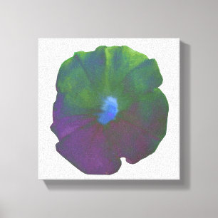 Rainbow Petunia Canvas Print