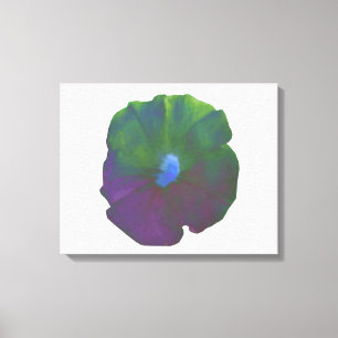 Rainbow Petunia Canvas Print