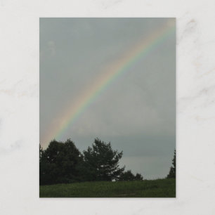 Rainbow Photo Postcard