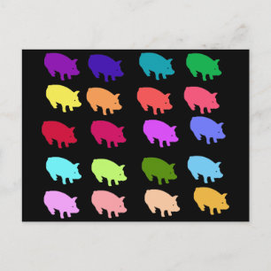 Rainbow Pigs Postcard