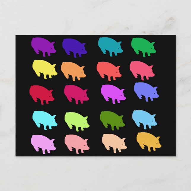 Rainbow Pigs Postcard (Front)