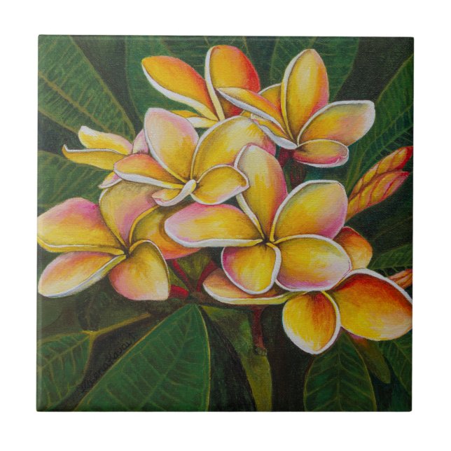 Rainbow Plumeria Tile (Front)