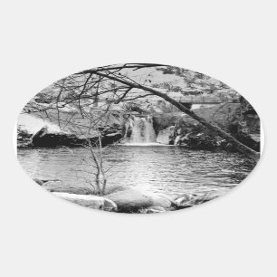 RAINBOW POOL, NEAR YOSEMITE: BARE BRANCHES #11 OVAL STICKER