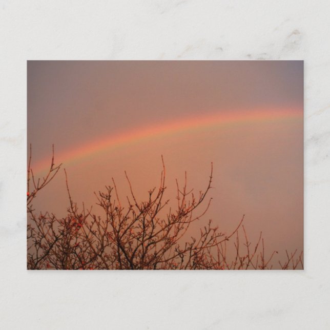 Rainbow Postcard (Front)