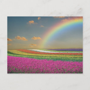 Rainbow Postcard