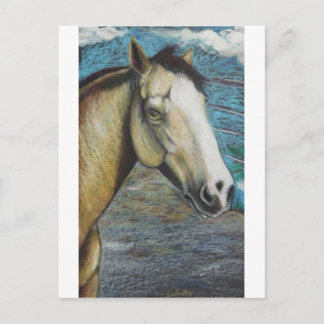 Rainbow Postcard
