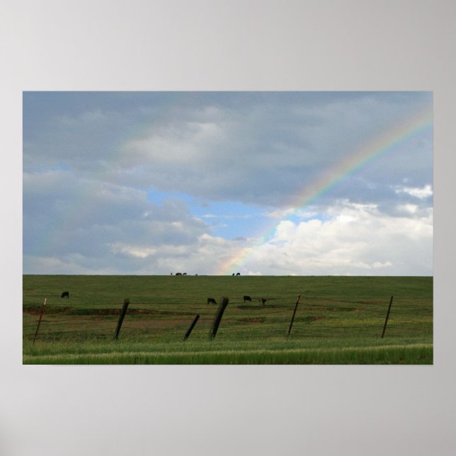 "Rainbow Prairie" Poster (Front)