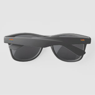 Rainbow Pride Chai Flag Sunglasses