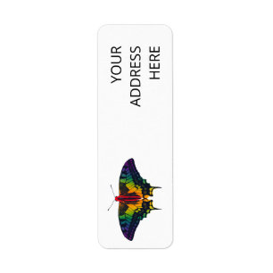 Rainbow Pride Flag Swallowtail Butterfly