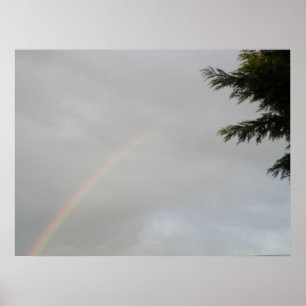 Rainbow Print