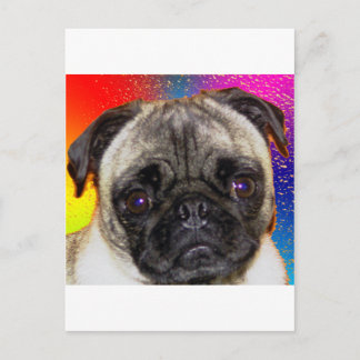 Rainbow Pug Postcard