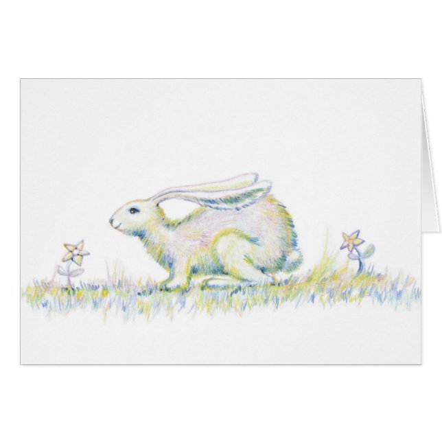 Rainbow Rabbit (Front Horizontal)