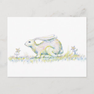 Rainbow Rabbit Postcard