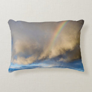 rainbow rebellion accent pillow
