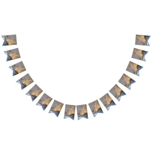 rainbow rebellion bunting flags (All)