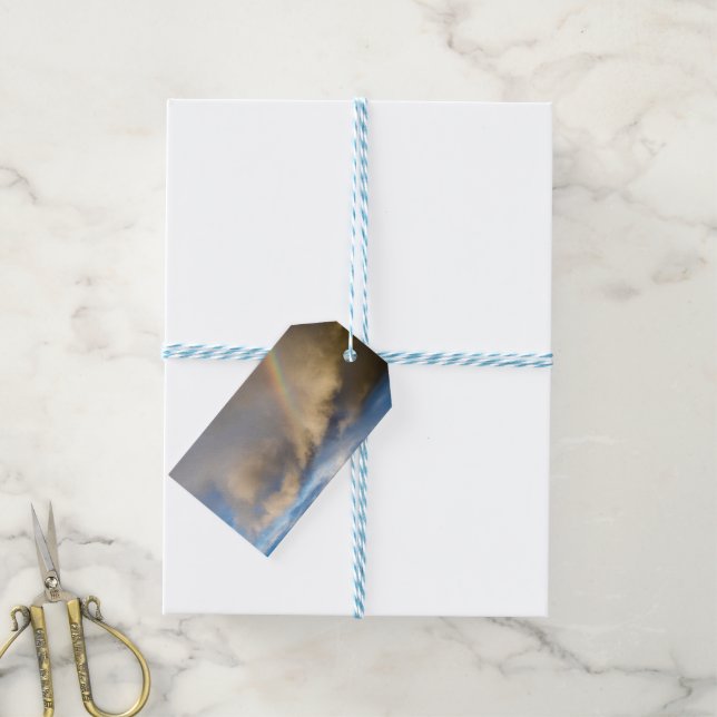 rainbow rebellion gift tags (With Twine)