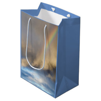 rainbow rebellion medium gift bag