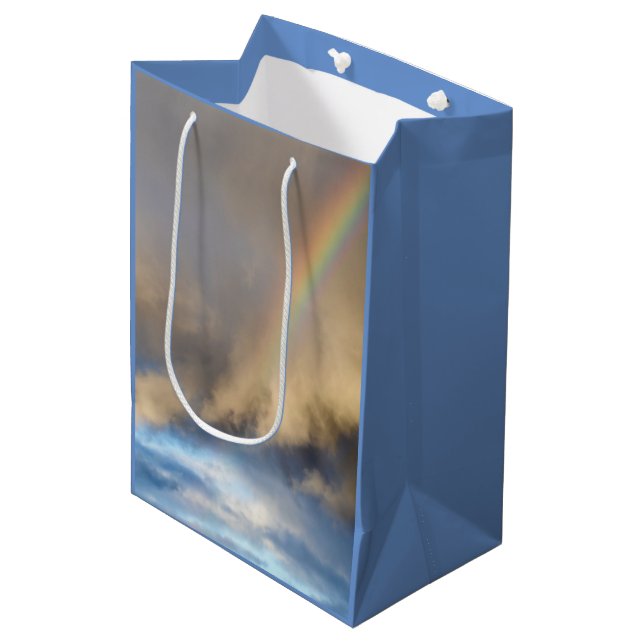 rainbow rebellion medium gift bag (Front Angled)