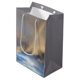 rainbow rebellion medium gift bag