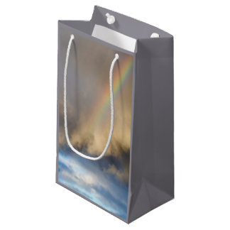 rainbow rebellion small gift bag