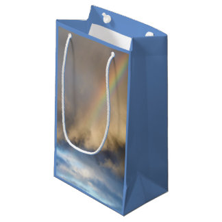 rainbow rebellion small gift bag