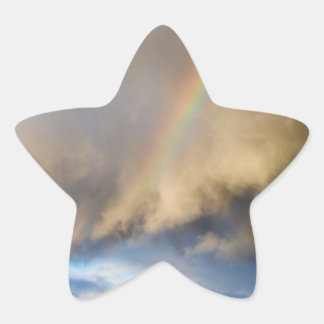 rainbow rebellion star sticker
