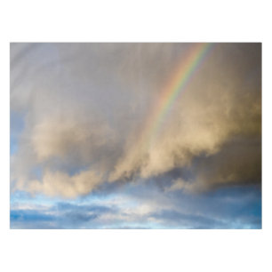 rainbow rebellion tablecloth