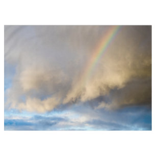rainbow rebellion tablecloth