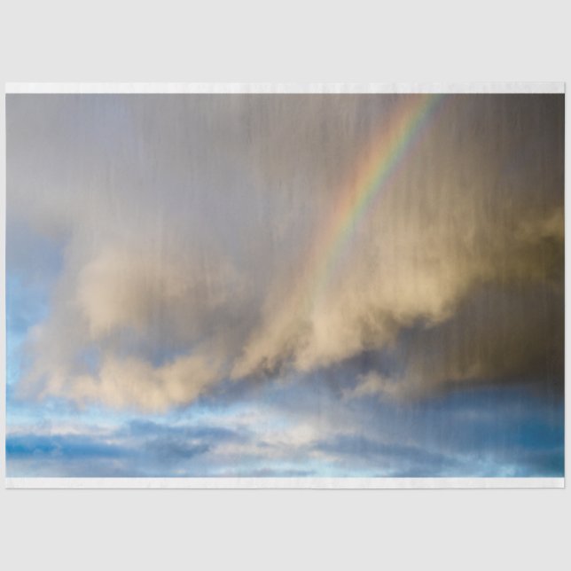 rainbow rebellion tissue paper (Front)