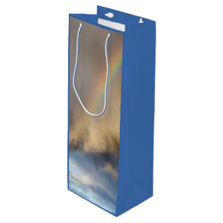 rainbow rebellion wine gift bag