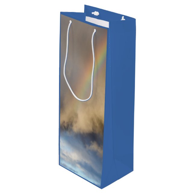 rainbow rebellion wine gift bag (Front Angled)