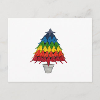 Rainbow Robins Christmas Tree Holiday Postcard