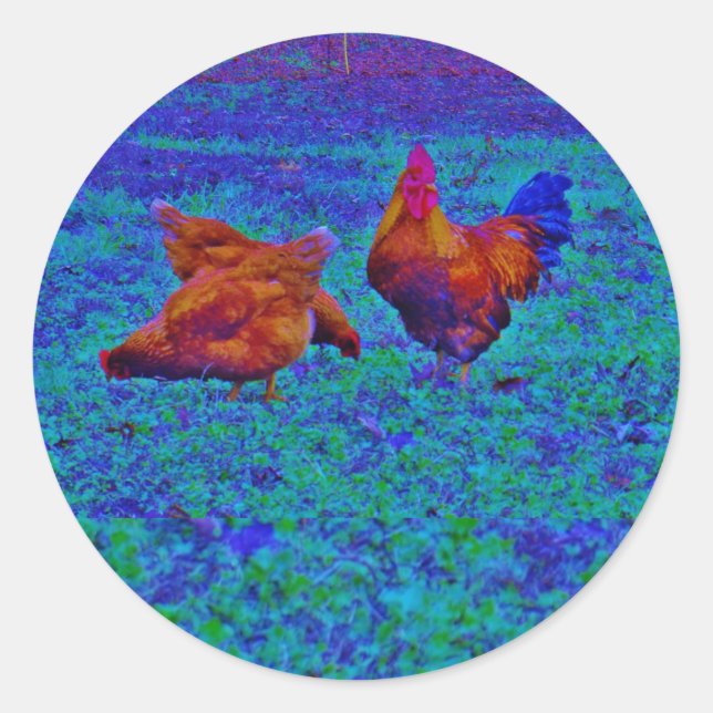 Rainbow Rooster & Hens, Electric Blue Classic Round Sticker (Front)