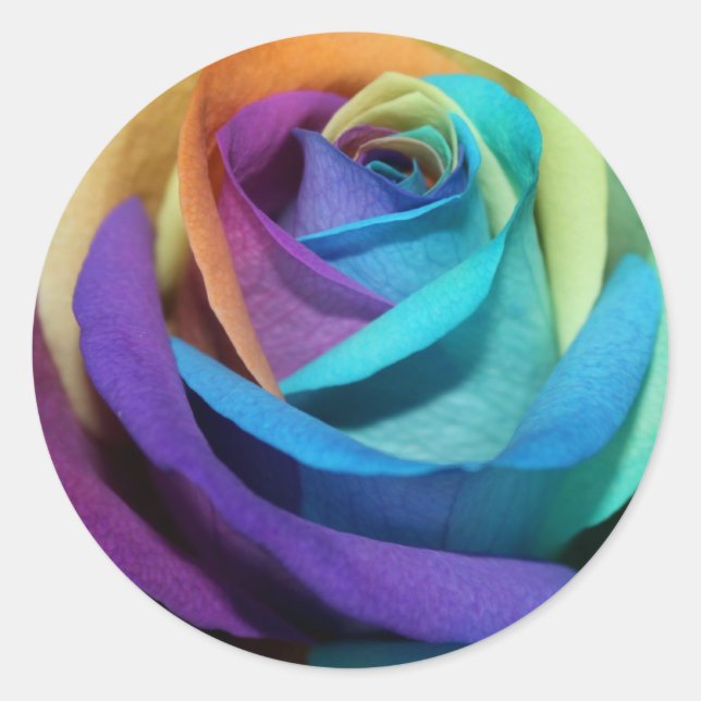 Rainbow Rose Love Flower Miss-you Peace Destiny Classic Round Sticker (Front)
