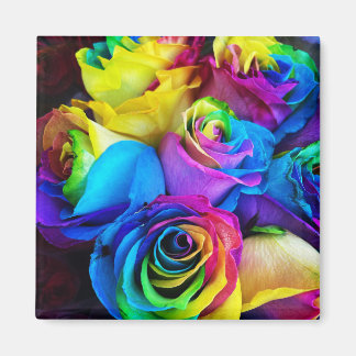 Rainbow Rose Magnet