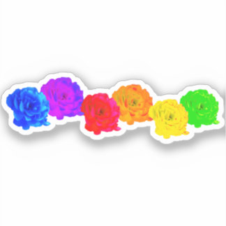 Rainbow Roses 