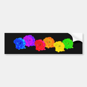 Rainbow Roses Bumper Sticker