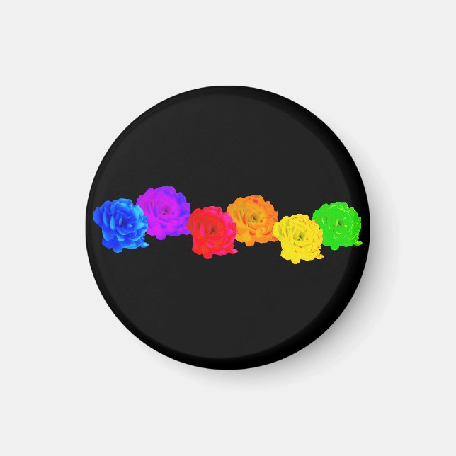 Rainbow Roses Magnet (Front)