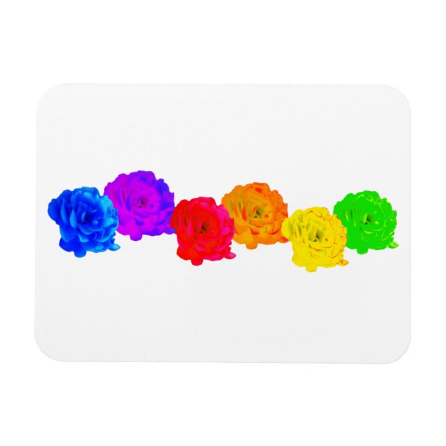 Rainbow Roses Magnet (Horizontal)