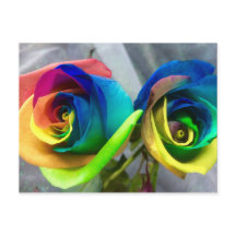 Rainbow roses postcard
