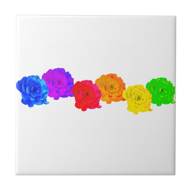 Rainbow Roses   Tile (Front)